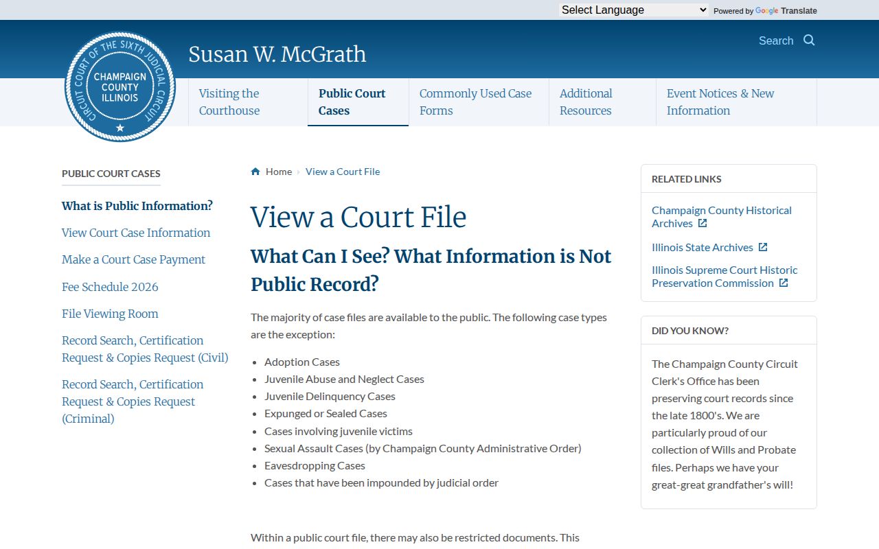 Champaign County Circuit Clerk public access for court and warrant context